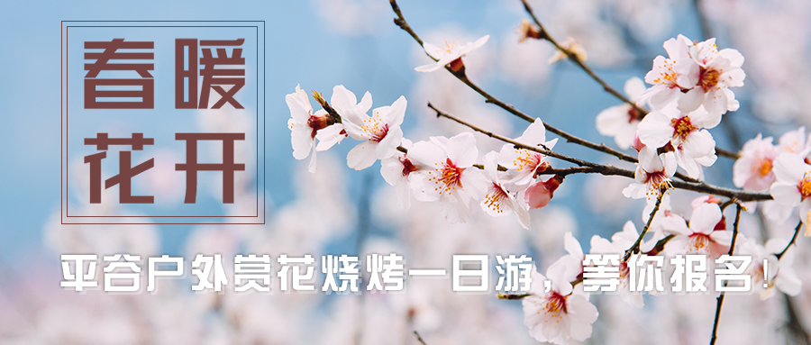 在北京的湖南老乡赶紧报名，周末一起去平谷看桃花海！
